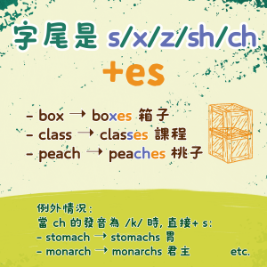 【EPH家長錦囊】小學英文考試攻略 - 複數名詞