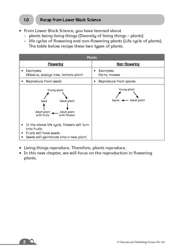P5/6 Complete Science Essentials (Vol A) QR