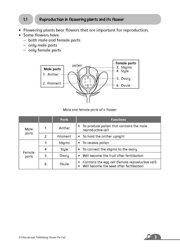 P5/6 Complete Science Essentials (Vol A) QR