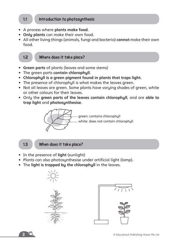 P5/6 Complete Science Essentials (Vol B) QR