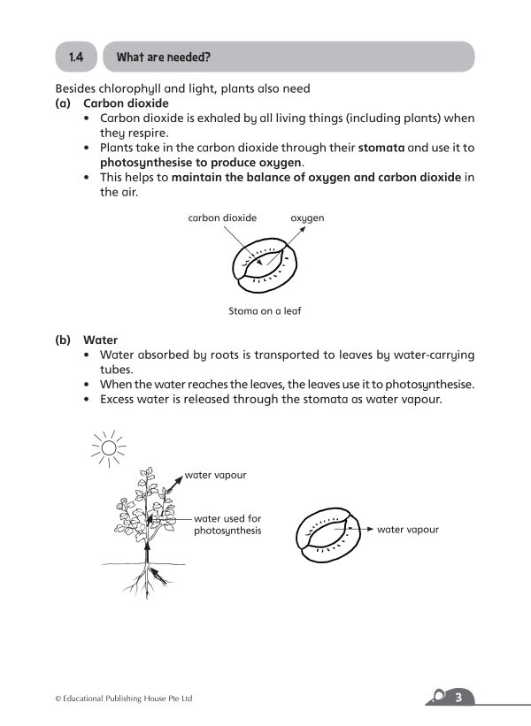 P5/6 Complete Science Essentials (Vol B) QR