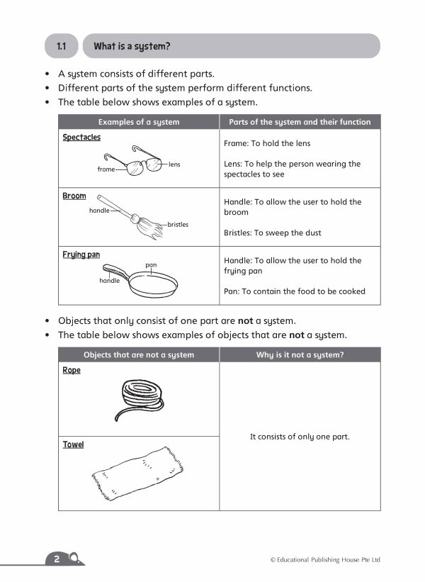 P4 Complete Science Essentials (2ED)