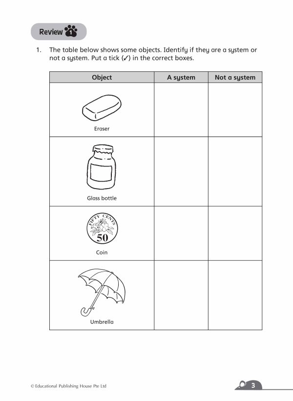 P4 Complete Science Essentials (2ED)