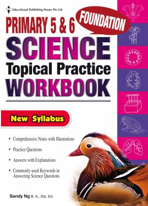 P5/6 Foundation Science Topical Practice Workbook