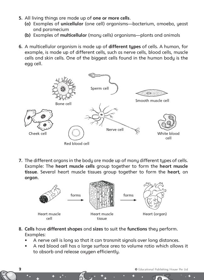 9789815318876_4-650x892