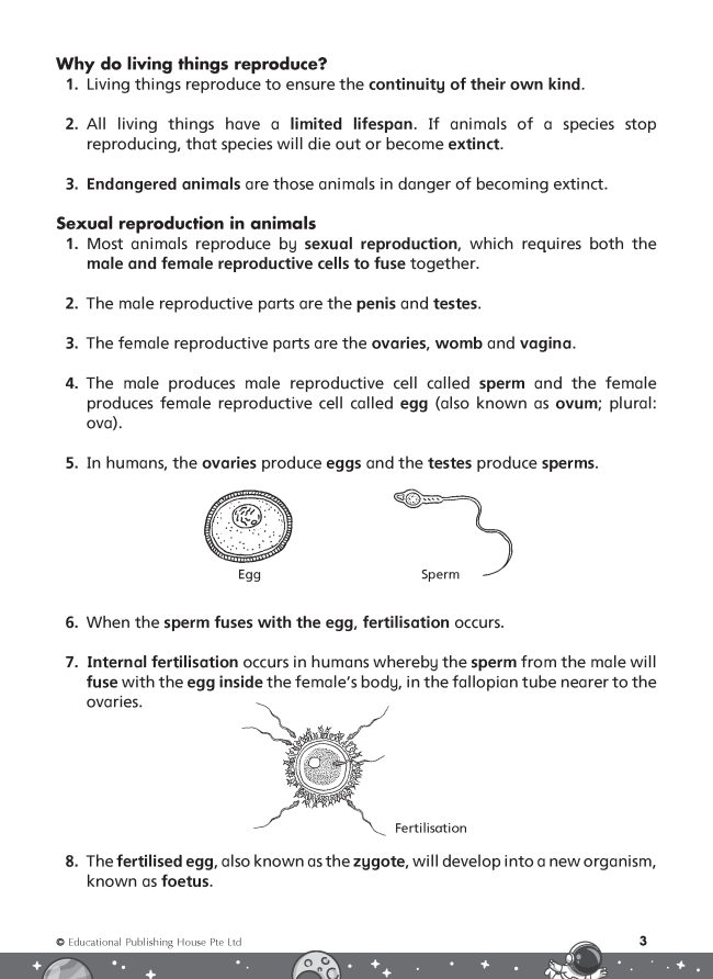 9789815318876_5-650x892