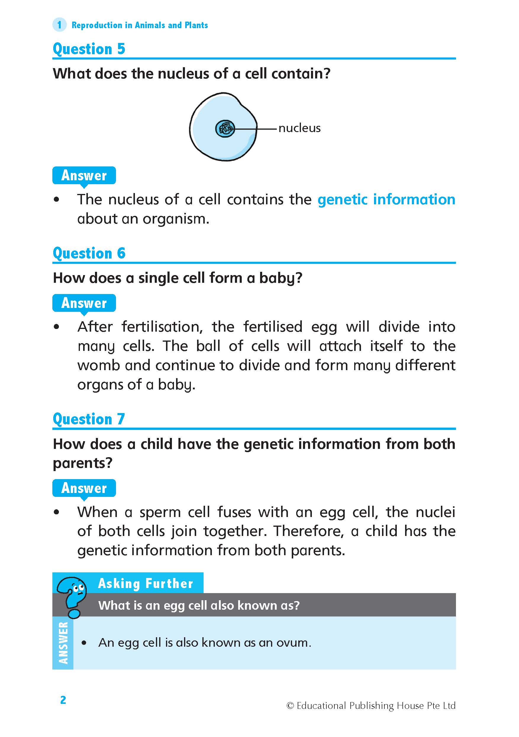 P5 Science Quick and Effective Q&A P5 Science Quick and Effective Q&A