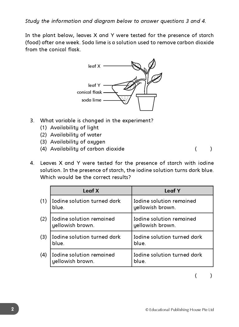 P6 Daily Dose of Science (4ED)