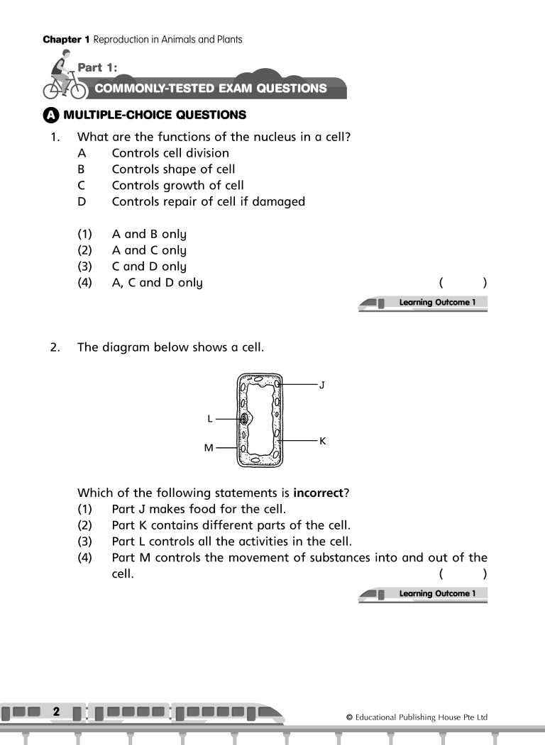 P5 Science Commonly-Tested & Challenging Exam Questions