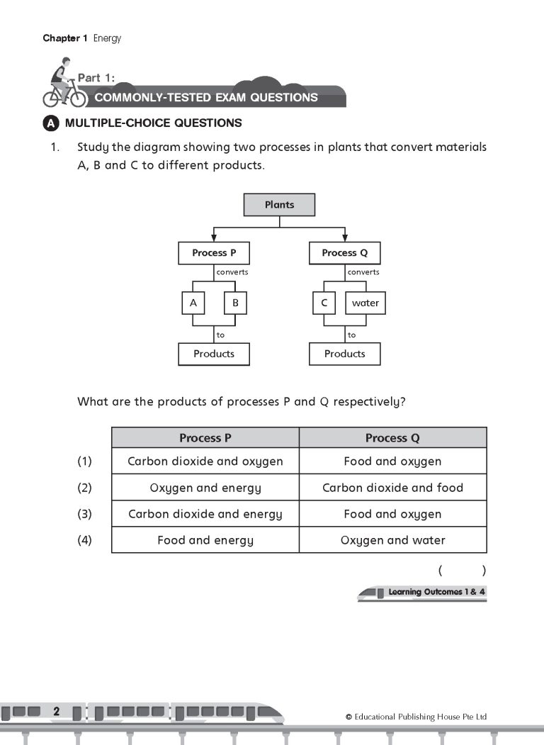 P6 Science Commonly-Tested & Challenging Exam Questions